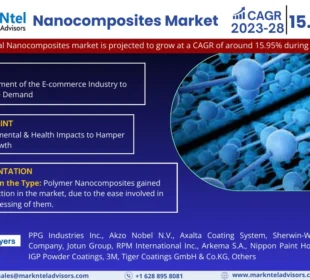 Nanocomposites Market