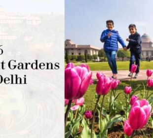 6 Must-Visit Gardens In Delhi