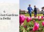 6 Must-Visit Gardens In Delhi