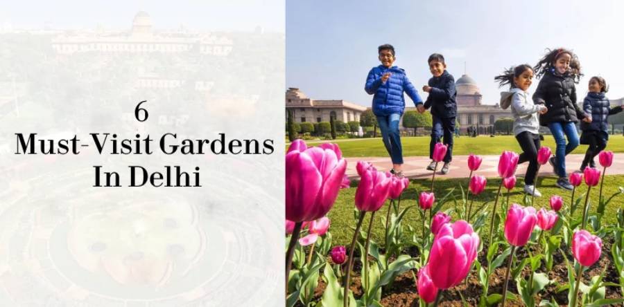 6 Must-Visit Gardens In Delhi