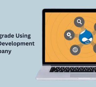 Drupal development