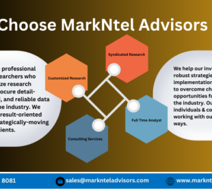 Voice Biometrics Market