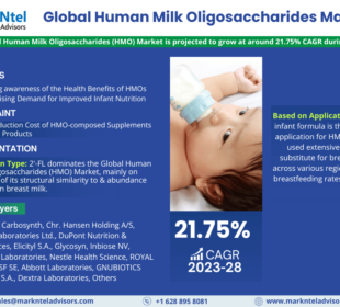 Human Milk Oligosaccharides (HMO) Market