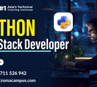 Python Full Stack Developer