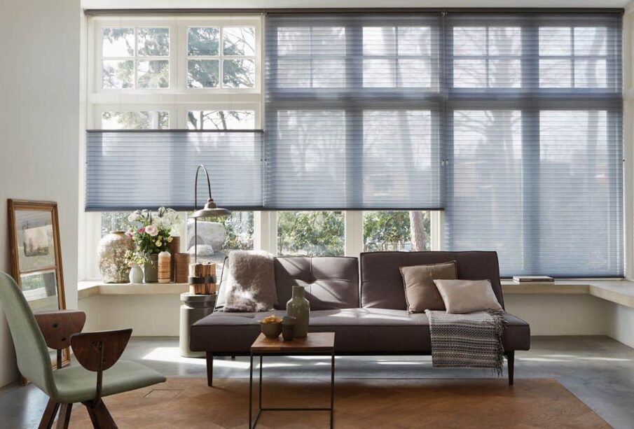 Window Curtain Blinds