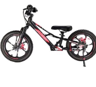 Electric Bikes for Kids