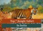 Jungle Safari in India